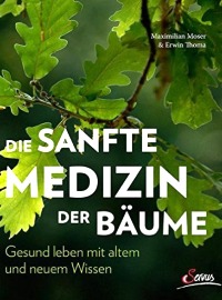 Die sanfte Medizin der Bäume