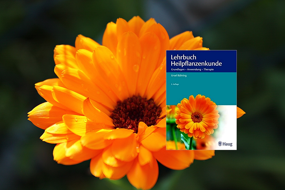 Lehrbuch Heilpflanzenkunde