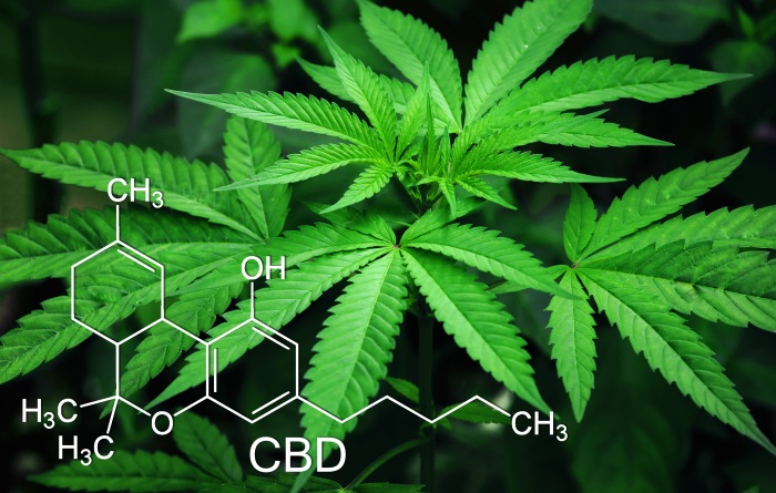 Was sind überhaupt CBD Kristalle? Was sind überhaupt CBD Kristalle?