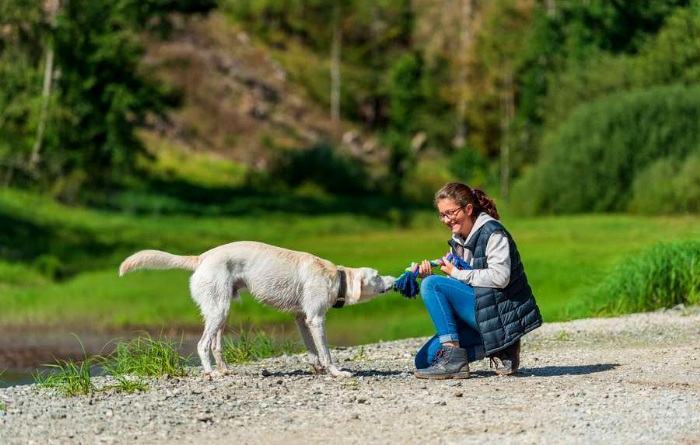 Wo Hunde gerne Urlaub machen