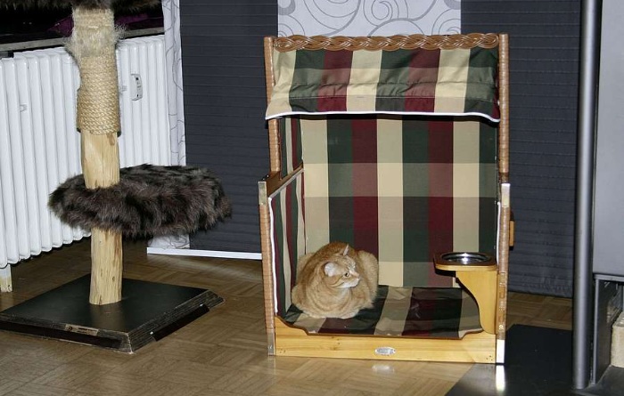 Luxus für vierbeinige Lieblinge. Ein Strandkorb als stylische Ruhezone für Hunde und Katzen.