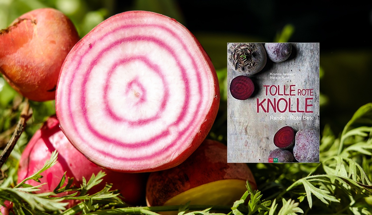 Tolle rote Knolle: Rande - Rote Beete Tolle rote Knolle: Rande - Rote Beete