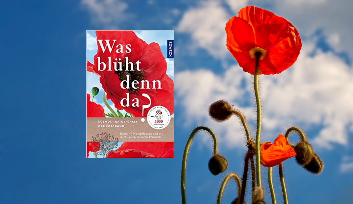 Was blüht denn da? - Buchtipp Was blüht denn da? - Buchtipp