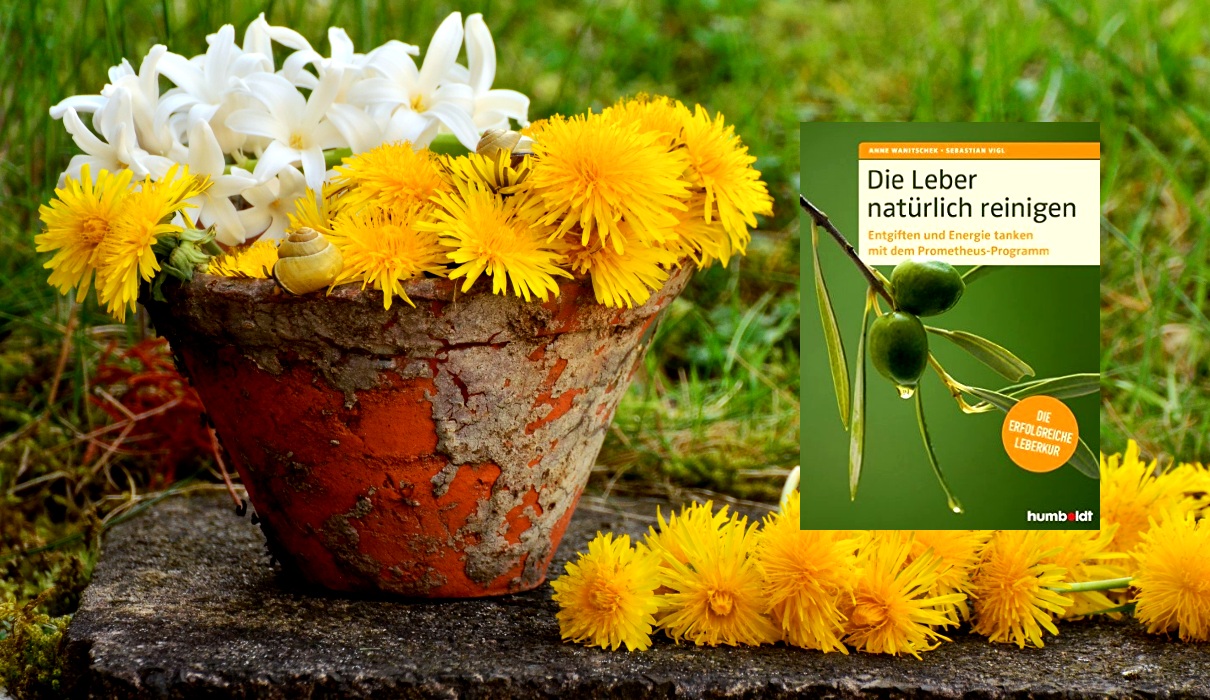 Die Leber natürlich reinigen
