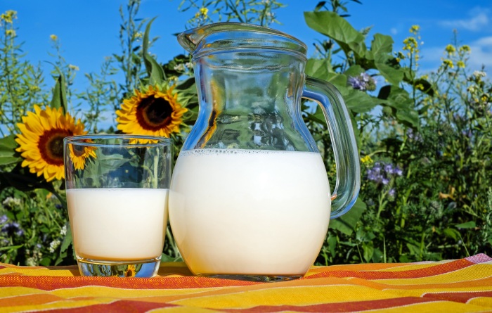 Milch und Milchprodukte sind in der veganen Ernährung ebenfalls tabu.