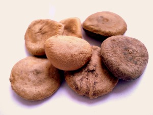 Nux vomica Nux vomica