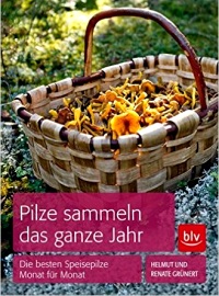 Pilze sammeln das ganze Jahr