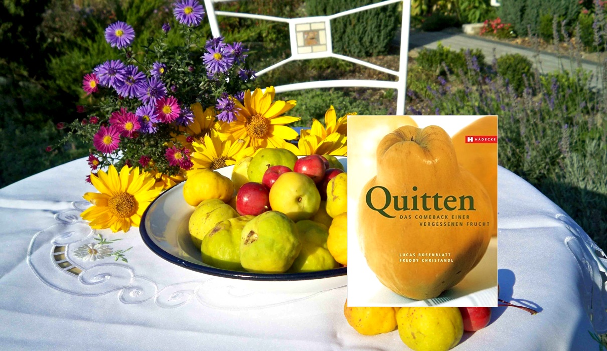 Quitten - das Comeback einer vergessen Frucht Quitten - das Comeback einer vergessen Frucht