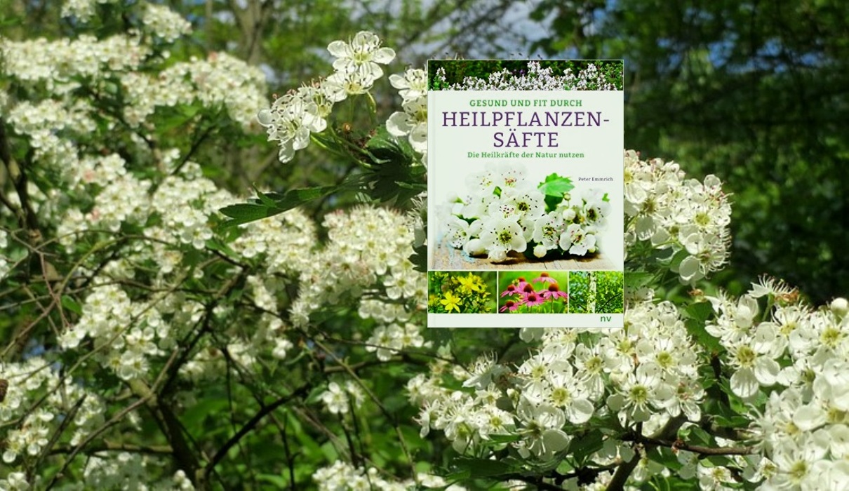 Gesund und Fit durch Heilpflanzensäfte - Buchtipp Gesund und Fit durch Heilpflanzensäfte - Buchtipp