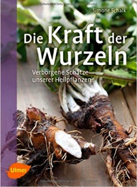 Die Kraft der Wurzeln