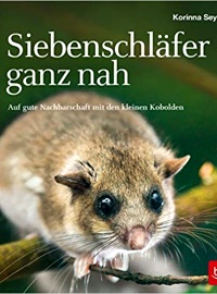 Siebenschläfer ganz nah