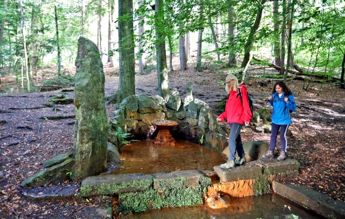 Wald, Wasser und tolle Wanderwege. Zu Fuß auf abwechslungsreicher Reise im Teutoburger Wald.