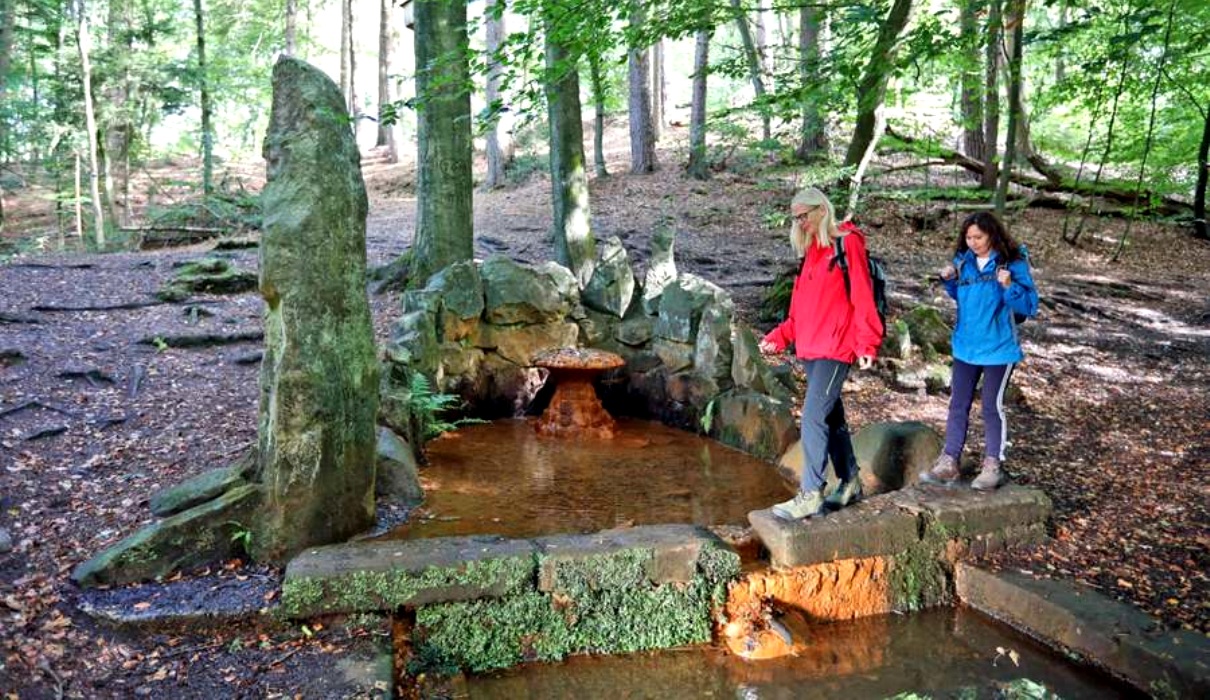 Zu Fuß auf abwechslungsreicher Reise im Teutoburger Wald.