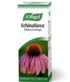 Echinacea-Tropfen von A. Vogel