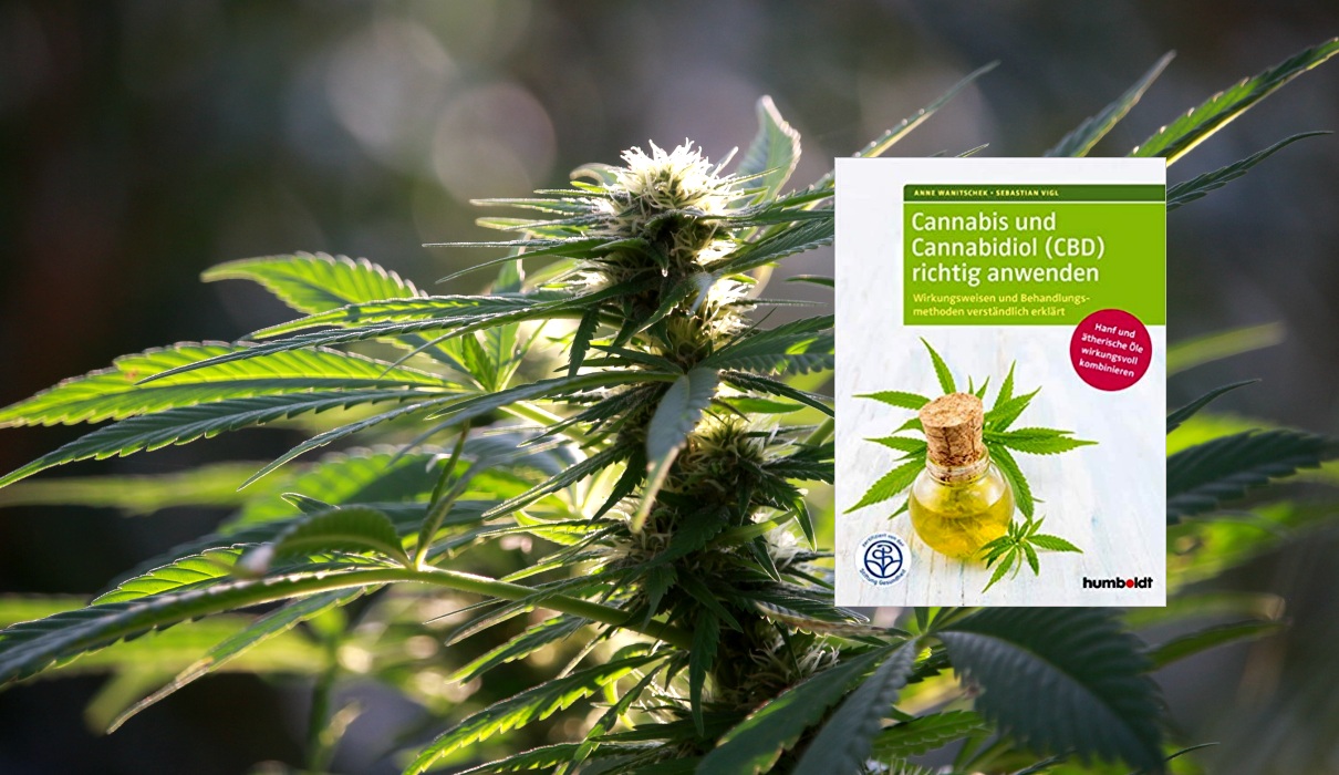 Cannabis und Cannabidiol (CBD) richtig anwenden: Wirkungsweisen und Behandlungsmethoden verständlich erklärt. Hanf und ätherische Öle wirkungsvoll.
