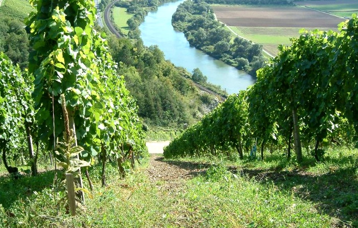 Eine herbstliche Wanderung durch das Fränkische Weinland Eine herbstliche Wanderung durch das Fränkische Weinland