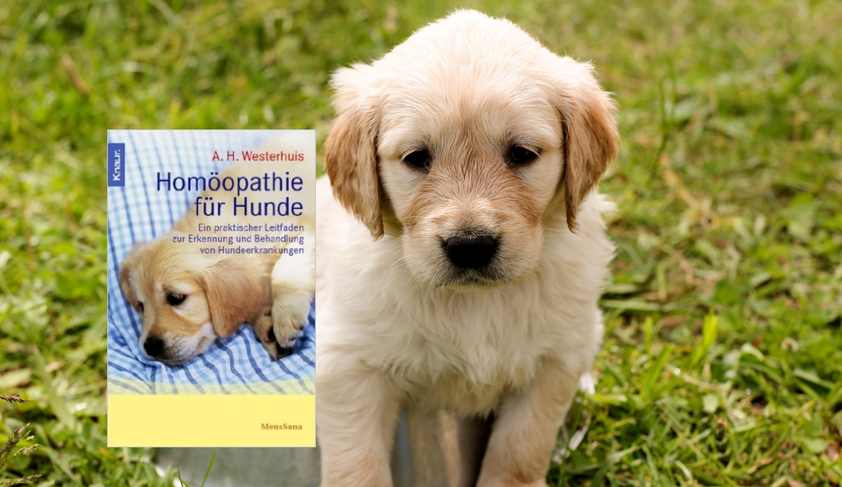 Homöopathie für Hunde Buchbesprechung&hellip; Forum Naturheilkunde