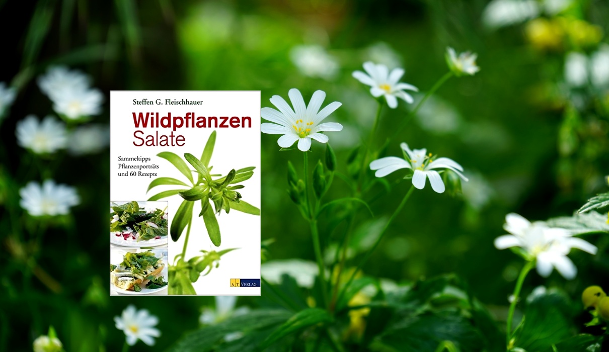 Wildpflanzen-Salate